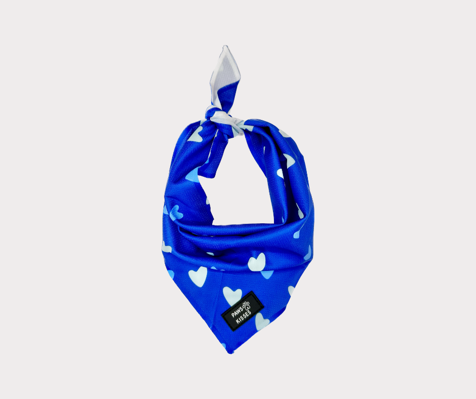 Cooling Bandana - Blue and I
