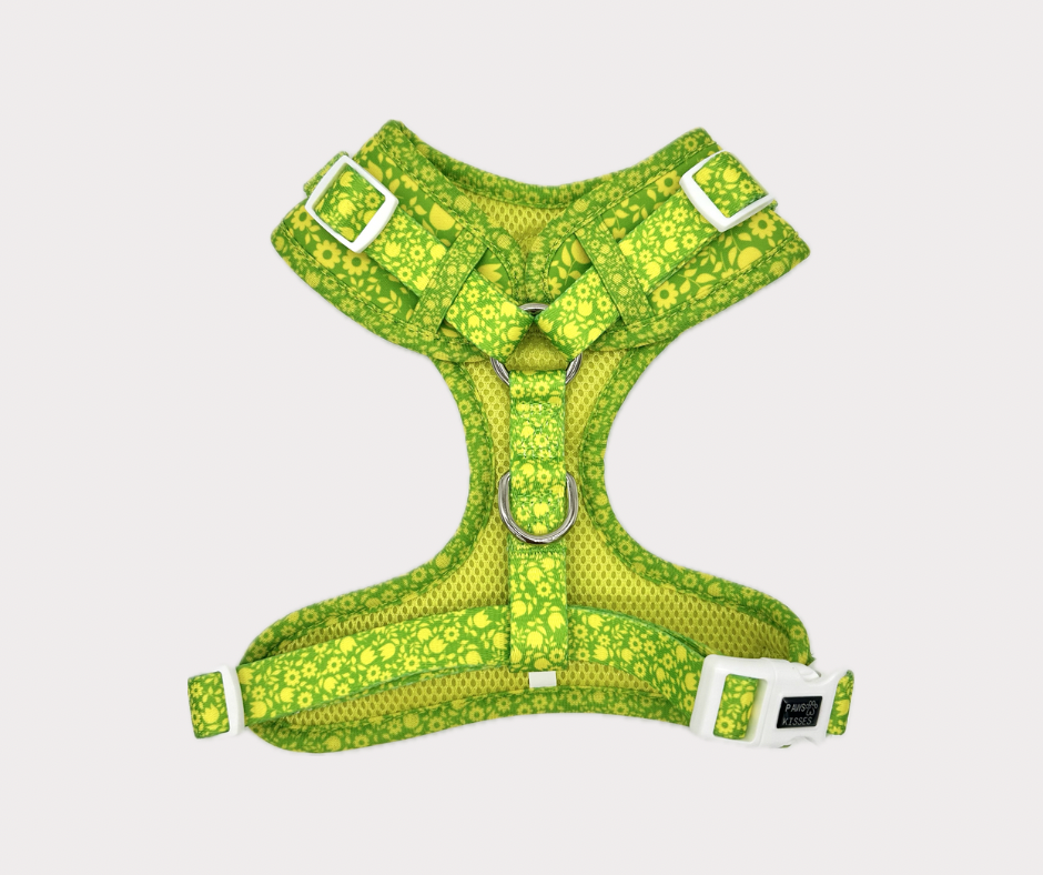 Adjustable No Pull Harness - Garden Grove