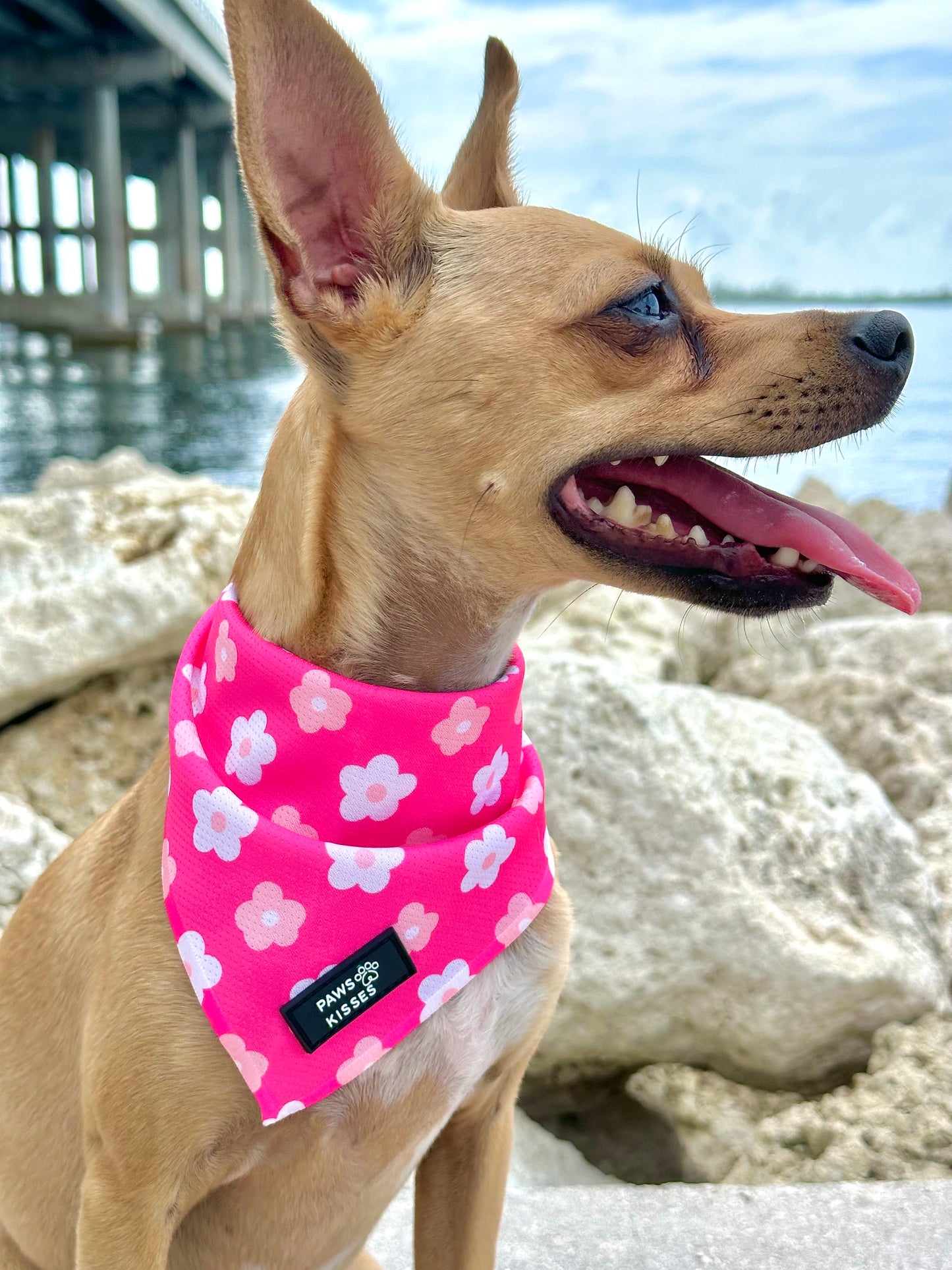 Cooling Bandana - Pink Petals