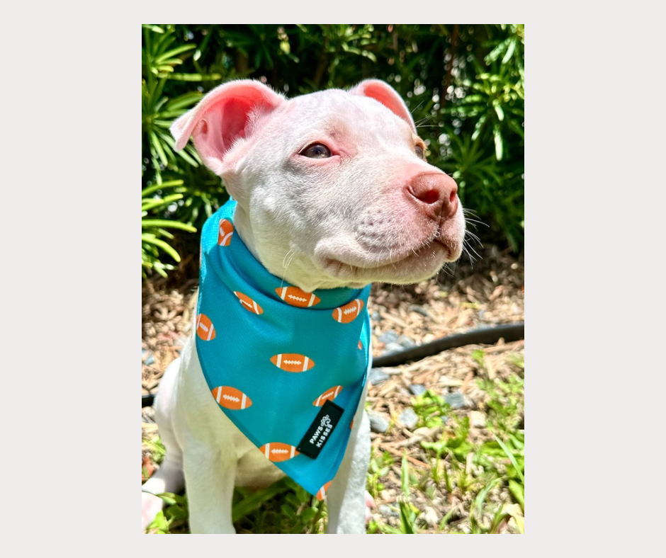 Cooling Bandana - Tailgate Tails