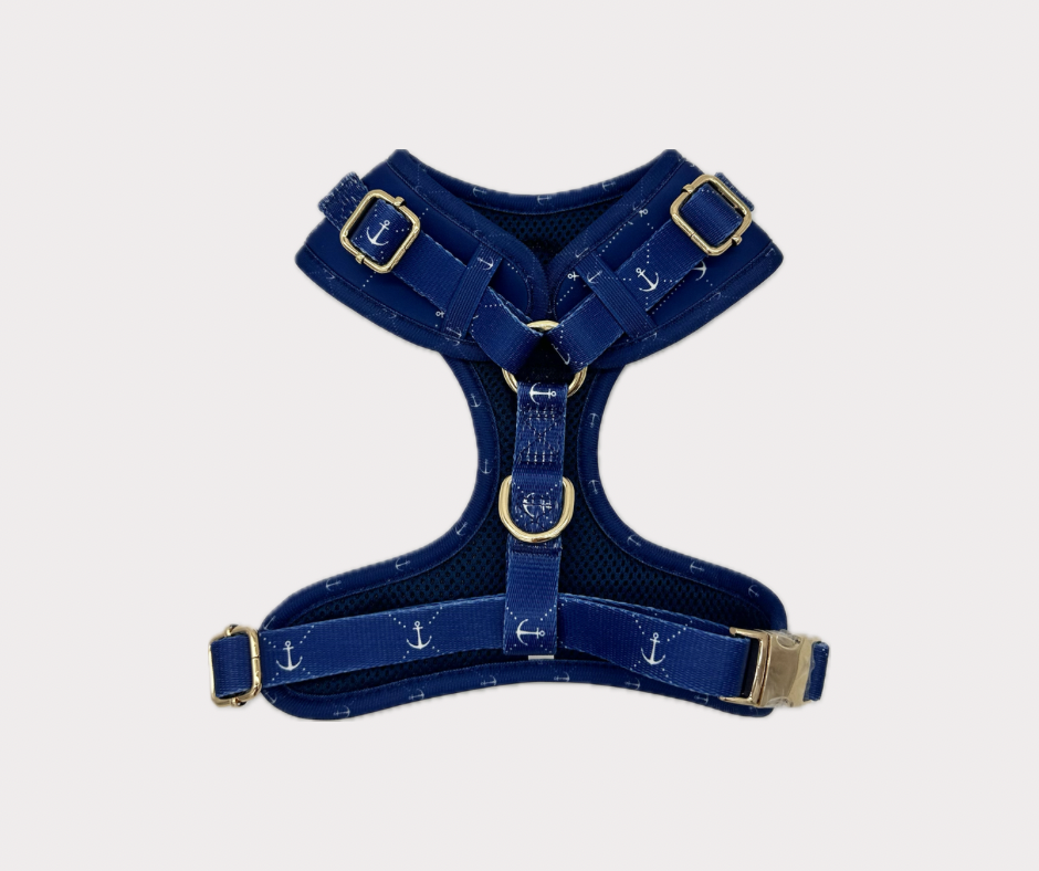 Adjustable No Pull Harness - Anchors Away