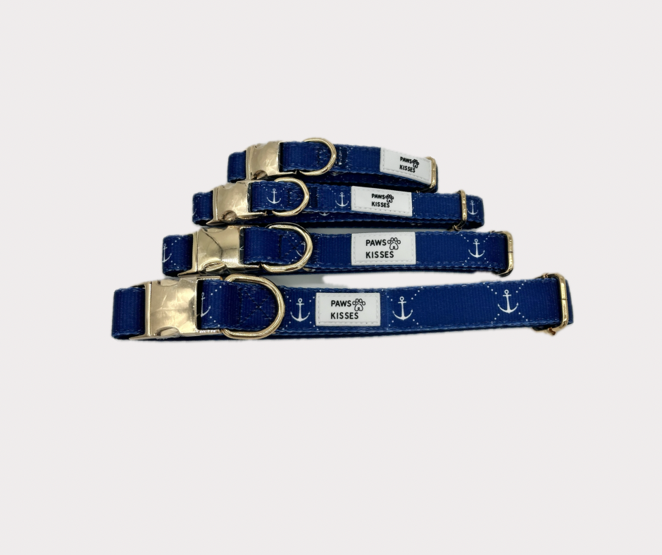 Adjustable Collar - Anchors Away