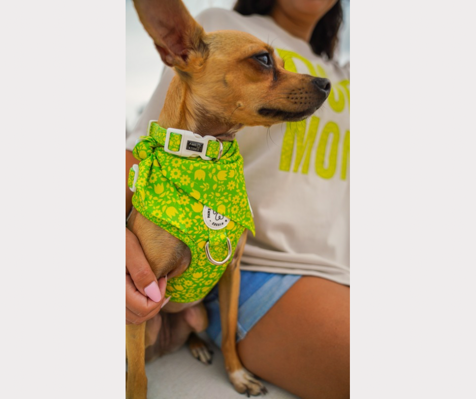 Cooling Bandana - Garden Grove