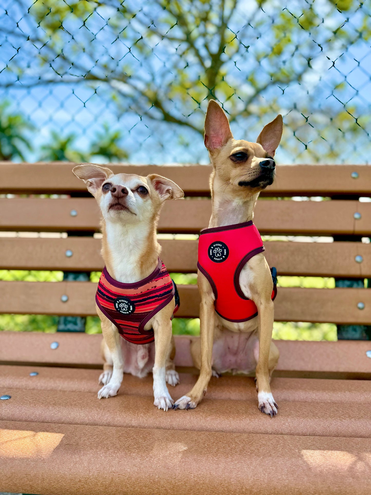 Reversible Harness - Rouge