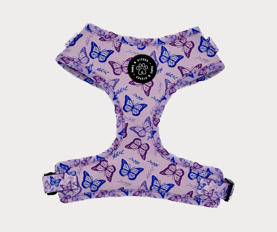 Top paw butterfly shop harness