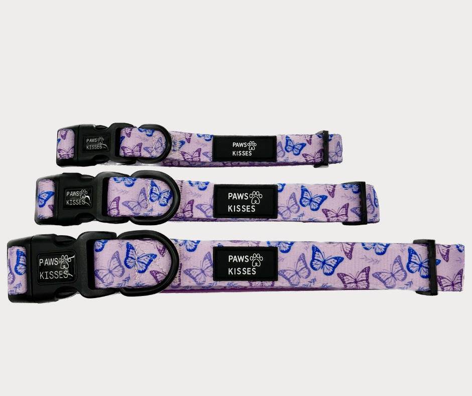 Adjustable Collar - Mariposa