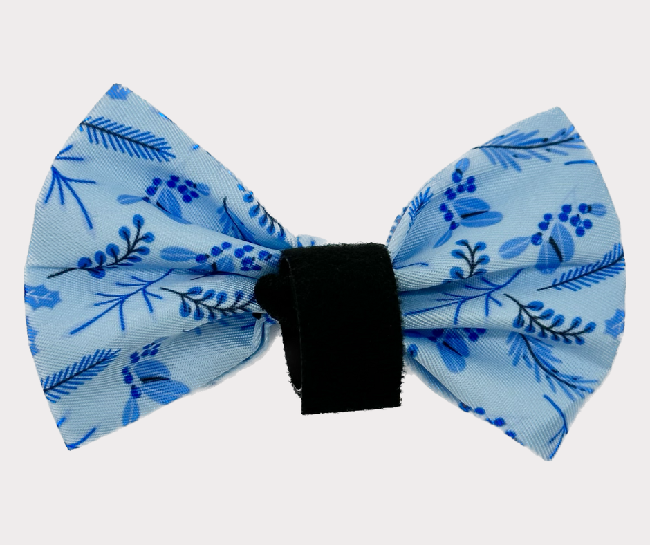 Bow - Furost