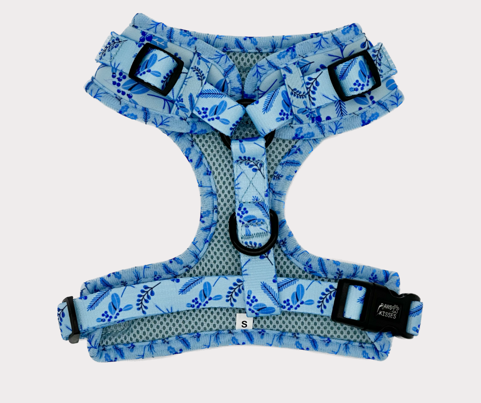 Adjustable Harness - Furost
