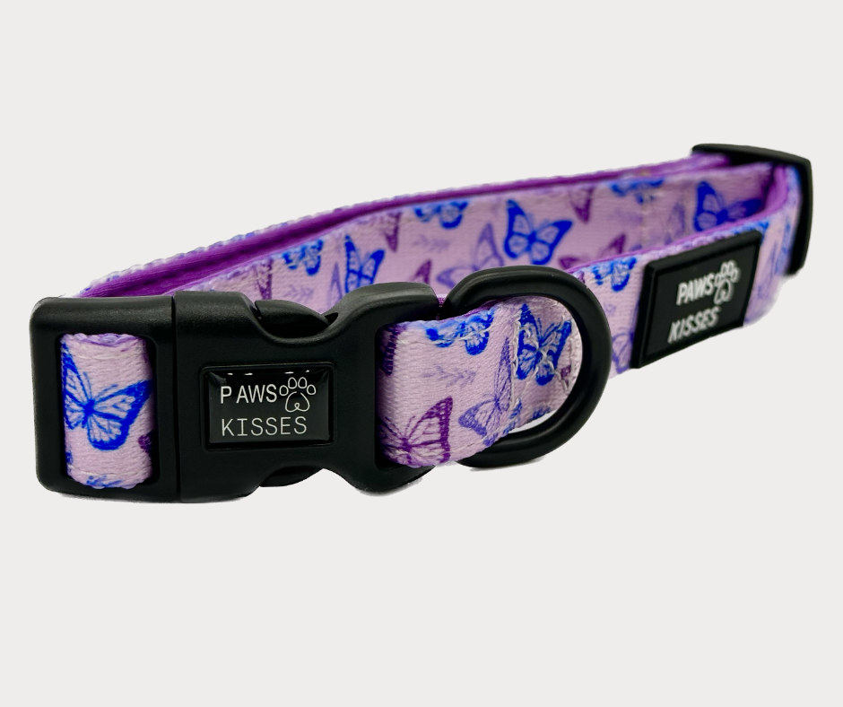 Adjustable Collar - Mariposa
