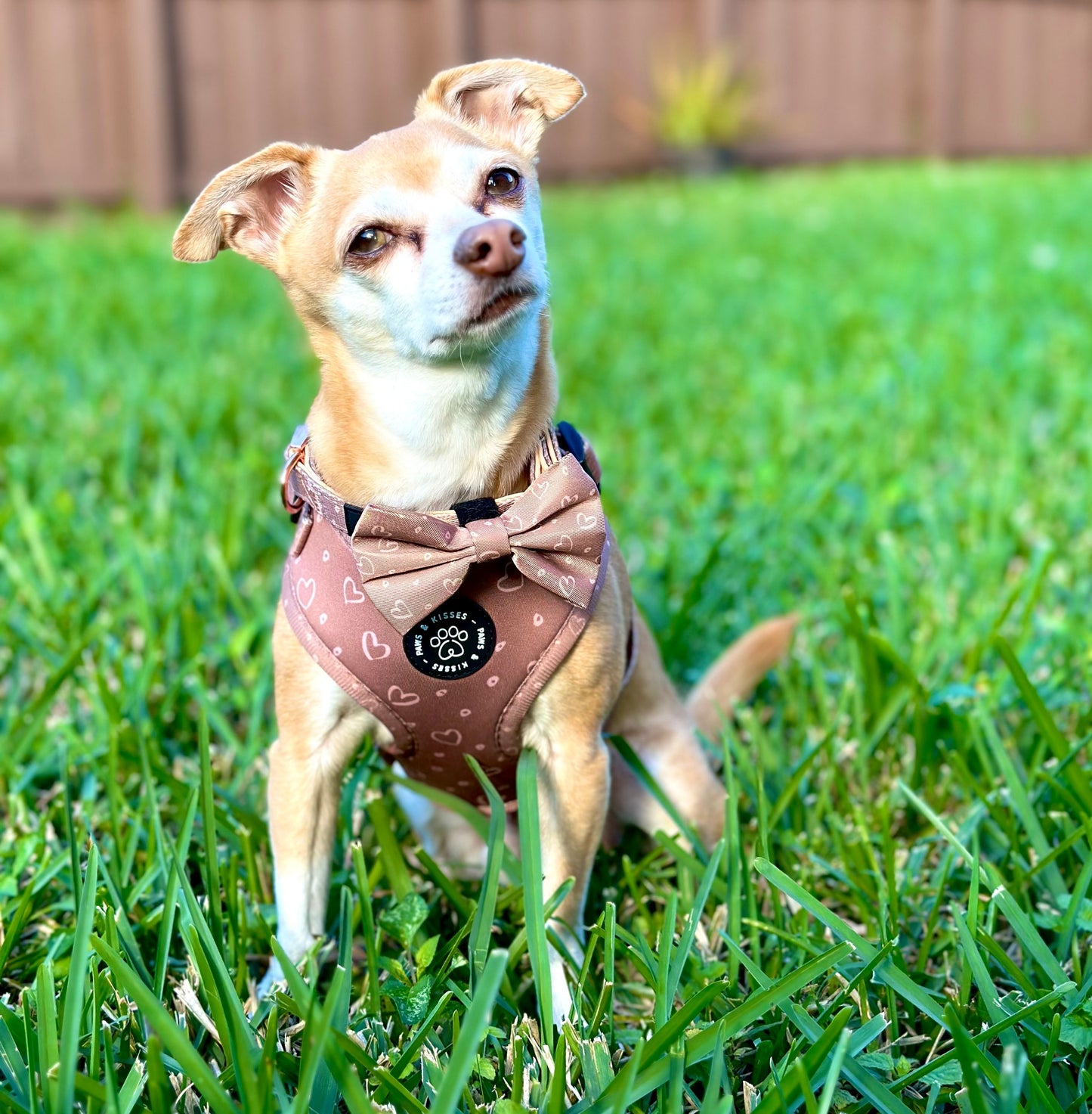 Bow - Hearts & Kisses