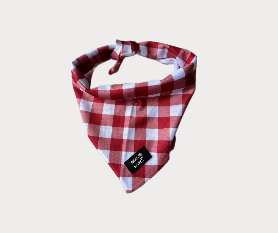 Cooling Bandana - Lazy Pupnic