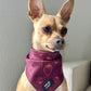 Cooling Bandana - Pawberry