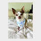 Cooling Bandana - Pawquette