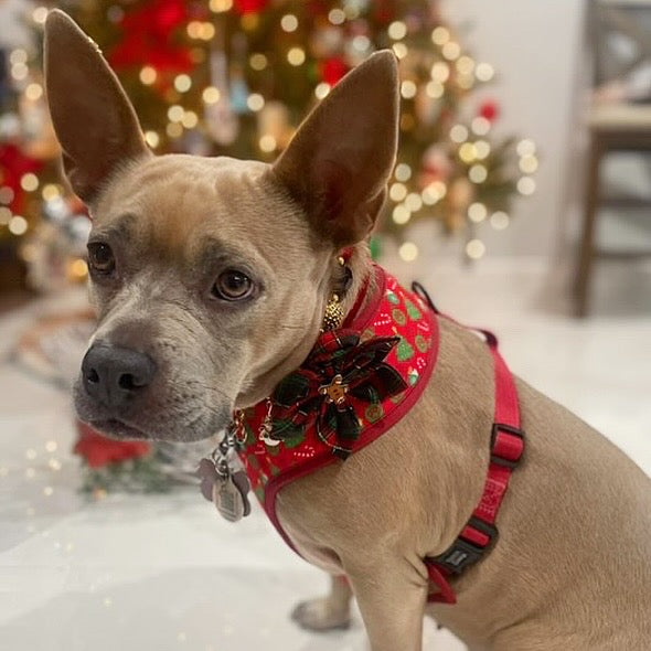Christmas Collar Flowers