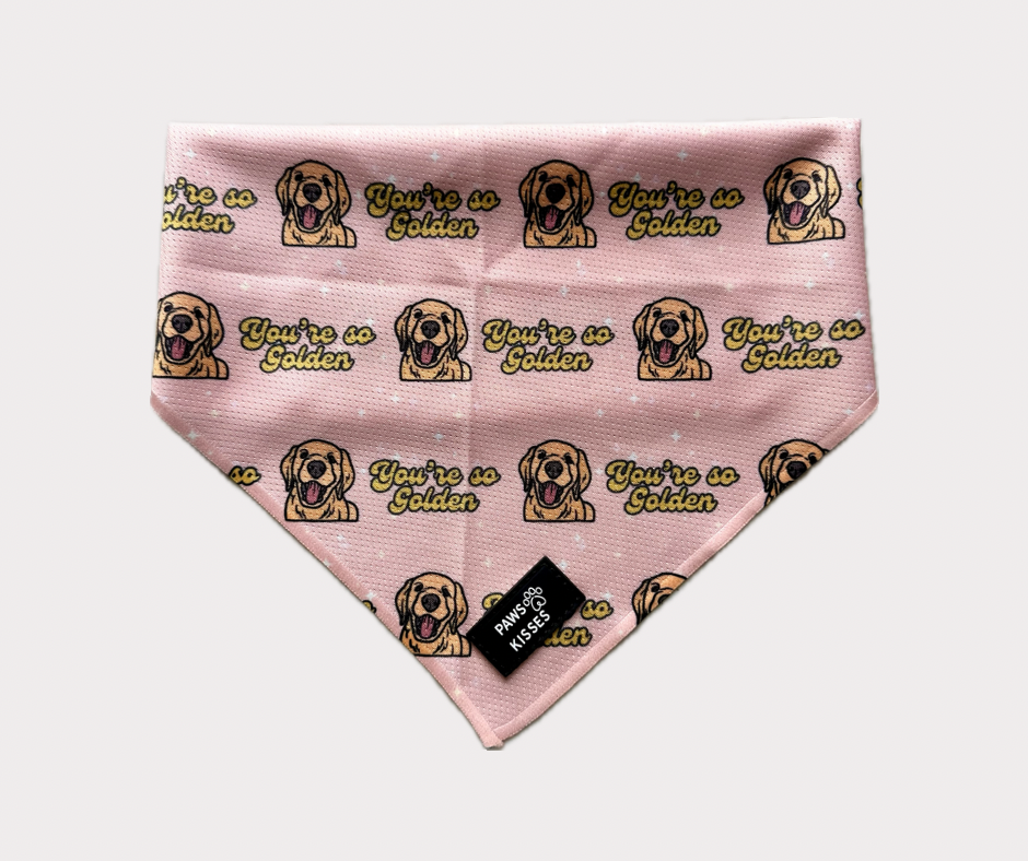 Cooling Bandana - So Golden