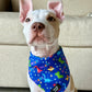 Cooling Bandana - Jurassic Bark
