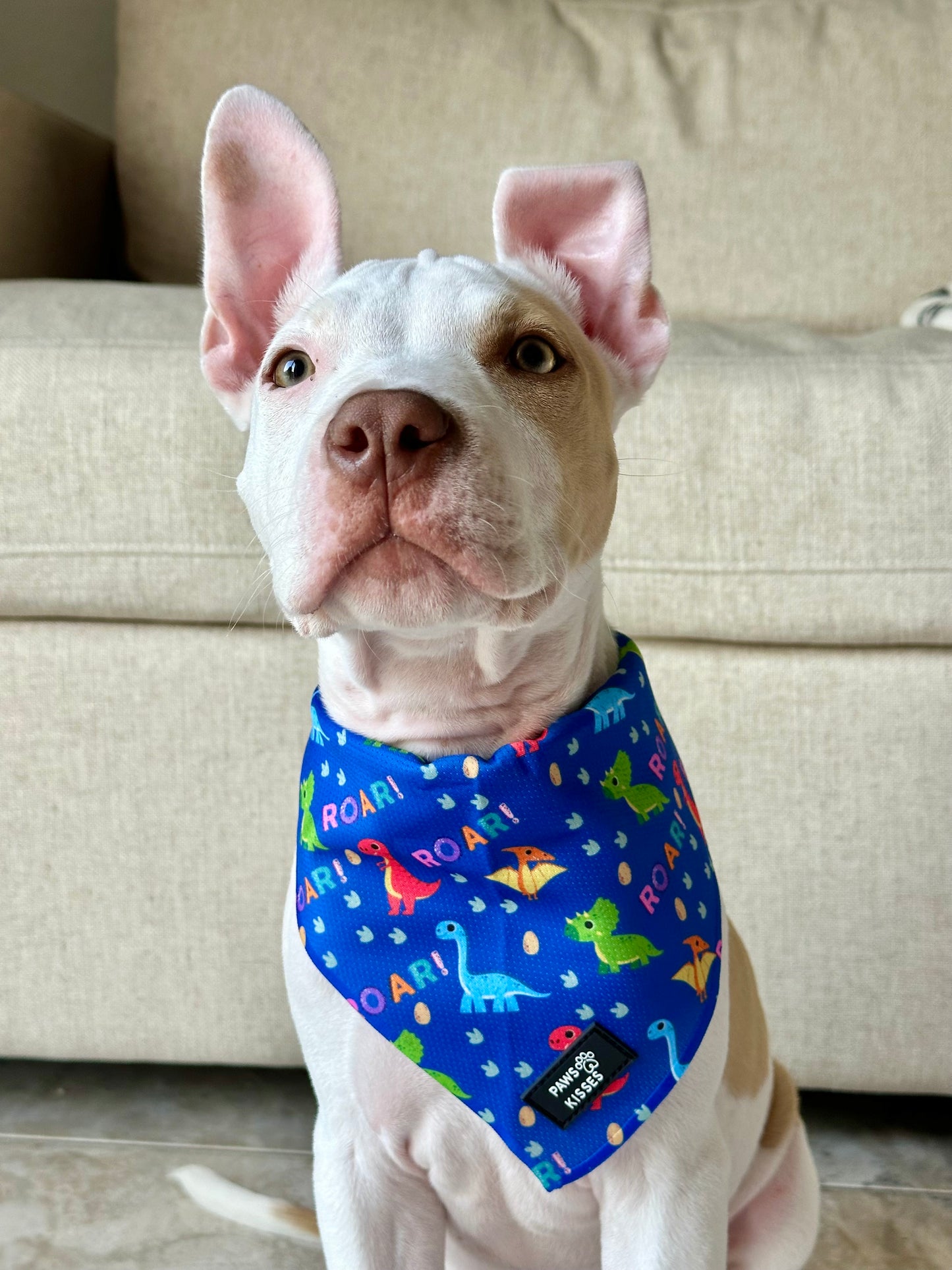 Cooling Bandana - Jurassic Bark
