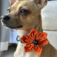 Collar Flowers - Halloween Collection