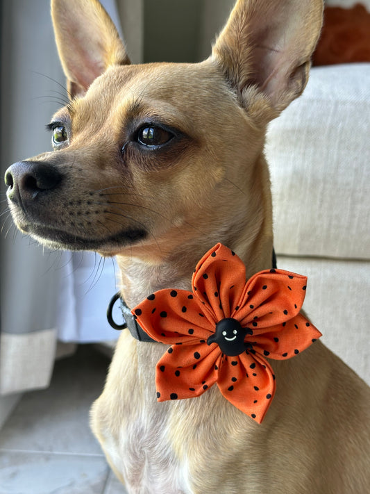 Collar Flowers - Halloween Collection