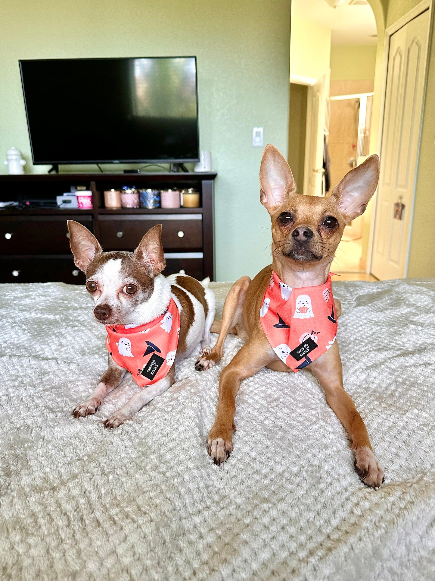 Cooling Bandana - Spooksies