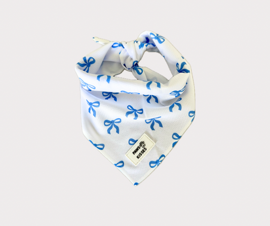 Cooling Bandana - Pawquette