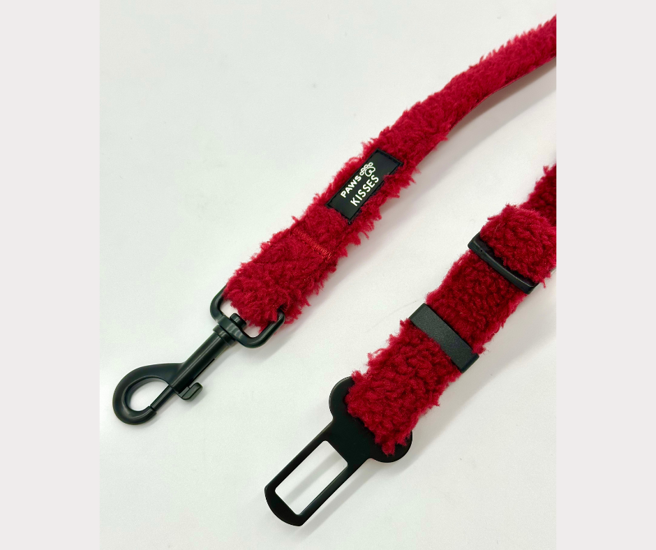 Seat Belt - Teddy Merlot