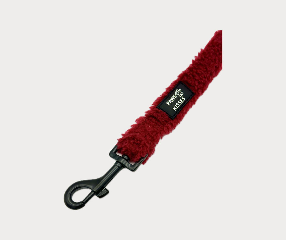 Leash - Teddy Merlot