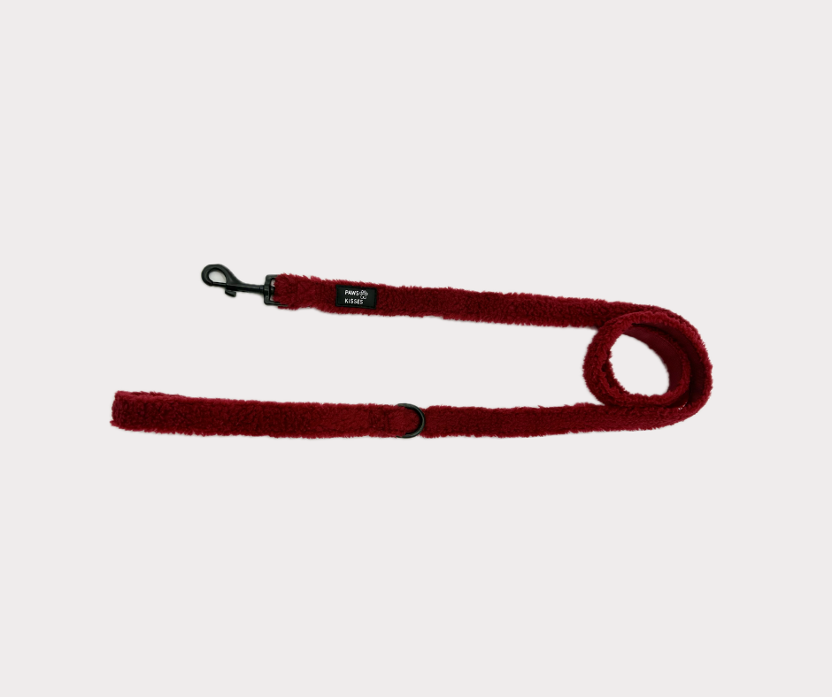 Leash - Teddy Merlot