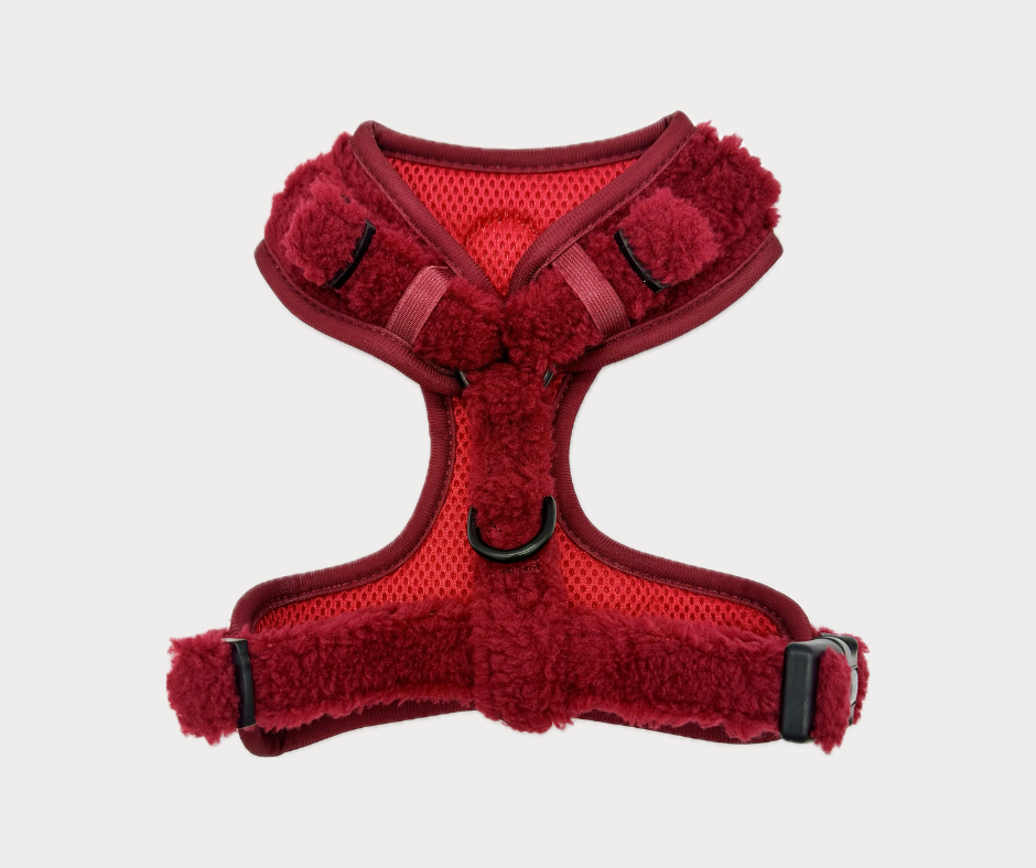 Adjustable Harness - Teddy Merlot