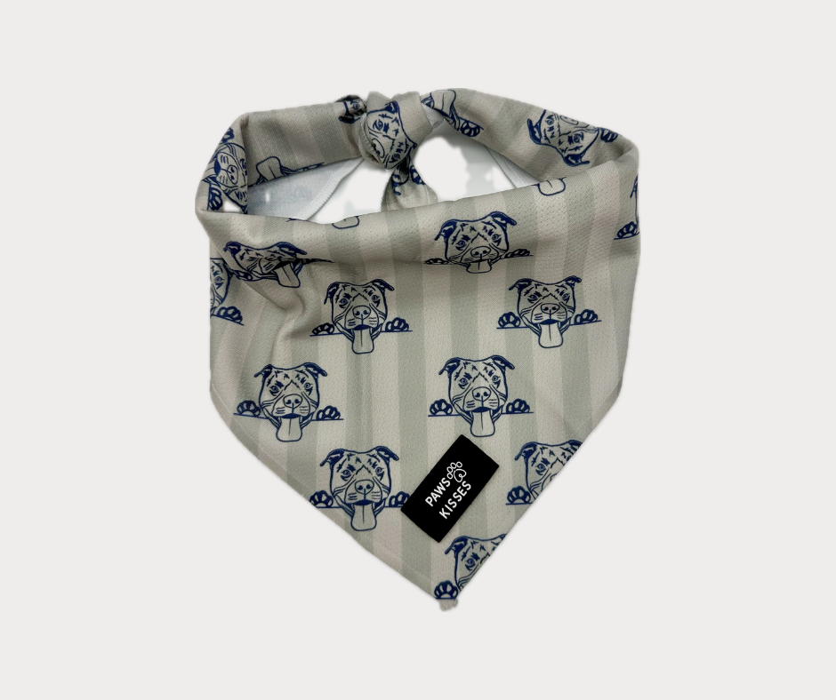 Cooling Bandana - Pitbull
