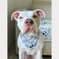 Cooling Bandana - Pitbull
