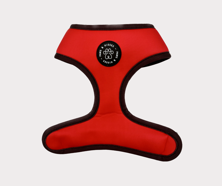 Reversible Harness - Rouge