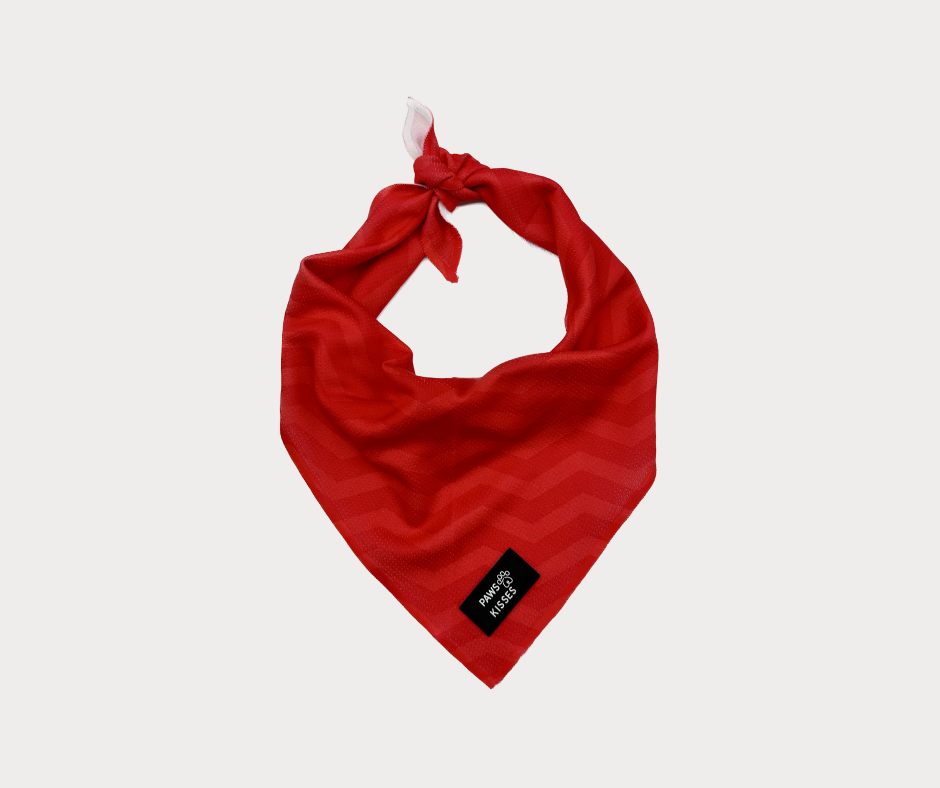 Cooling Bandana - Chevron Rouge