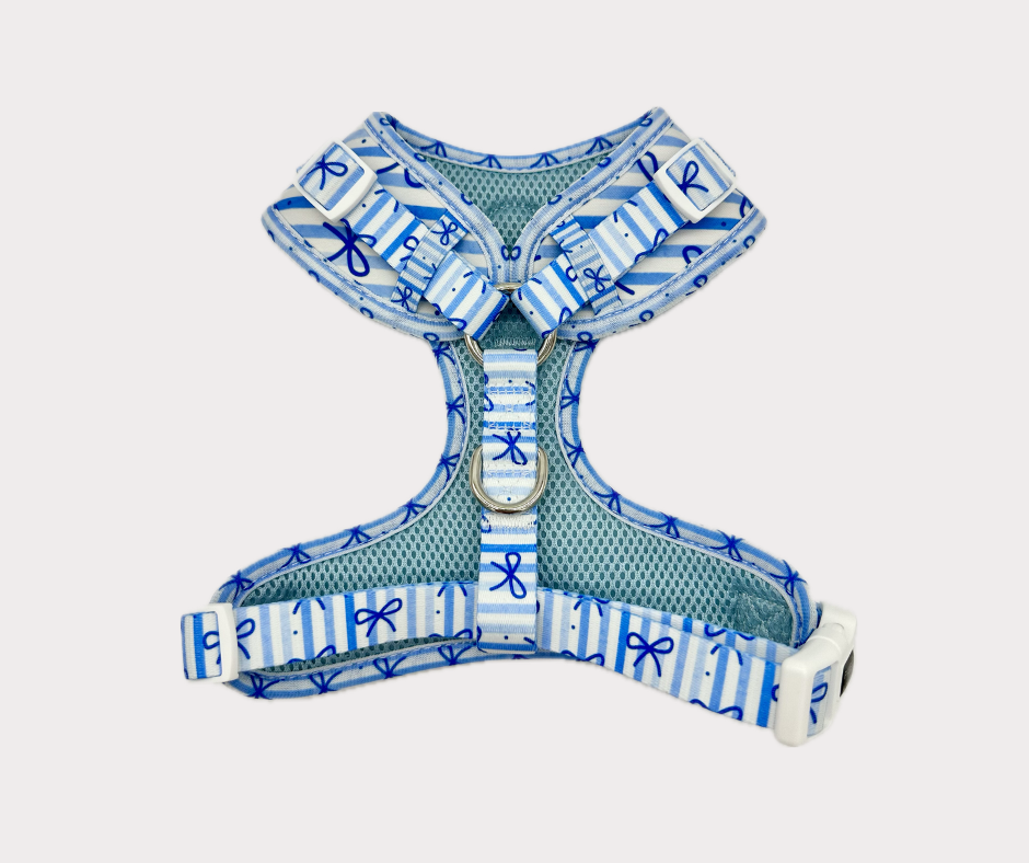 Adjustable No Pull Harness - Dream