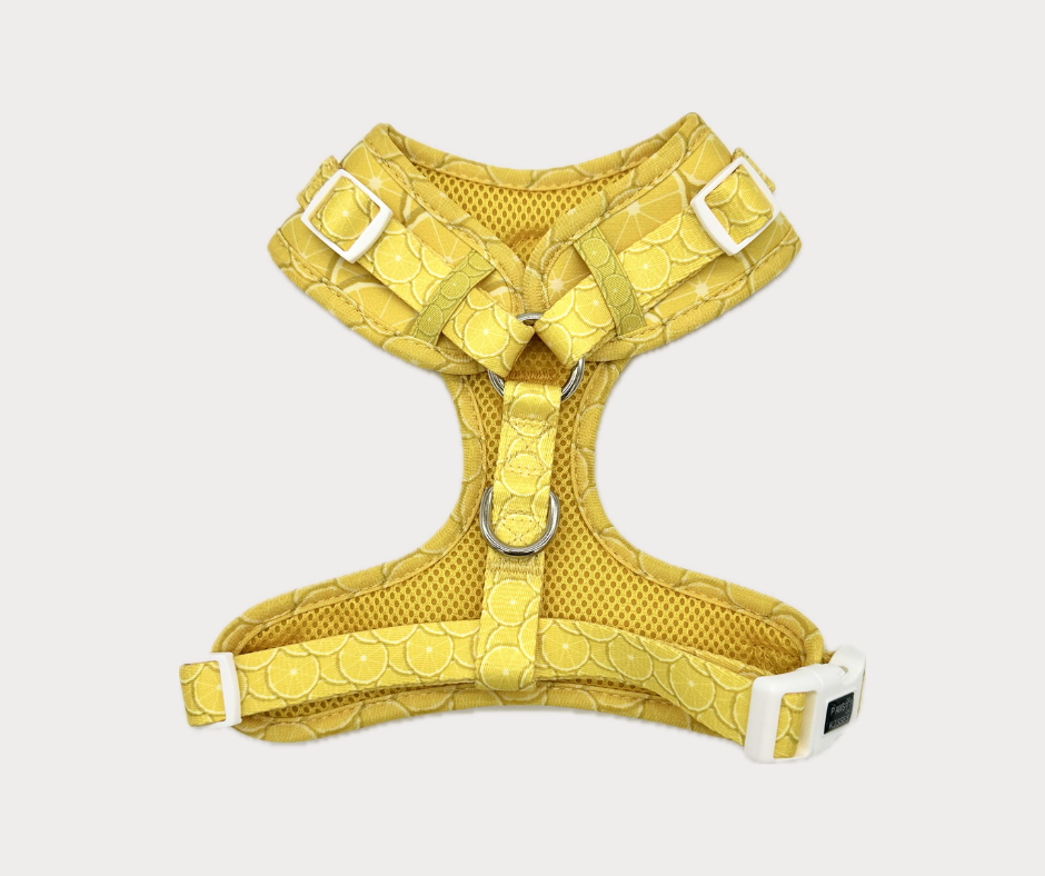 Adjustable No Pull Harness - Lemon Drop