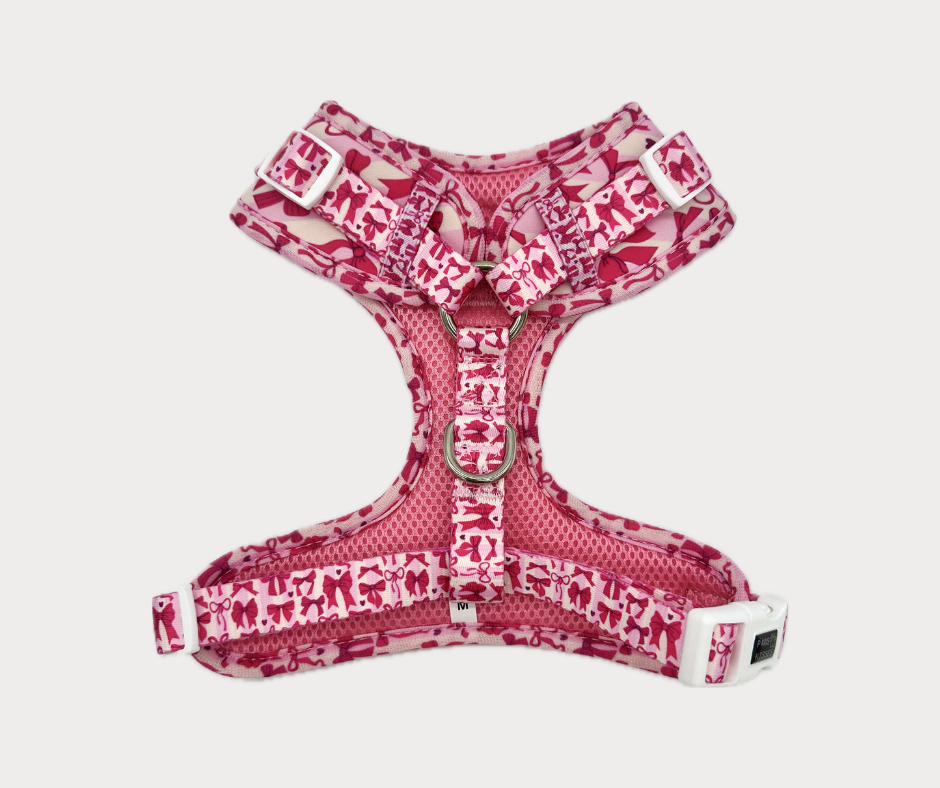 Adjustable No Pull Harness - Diva