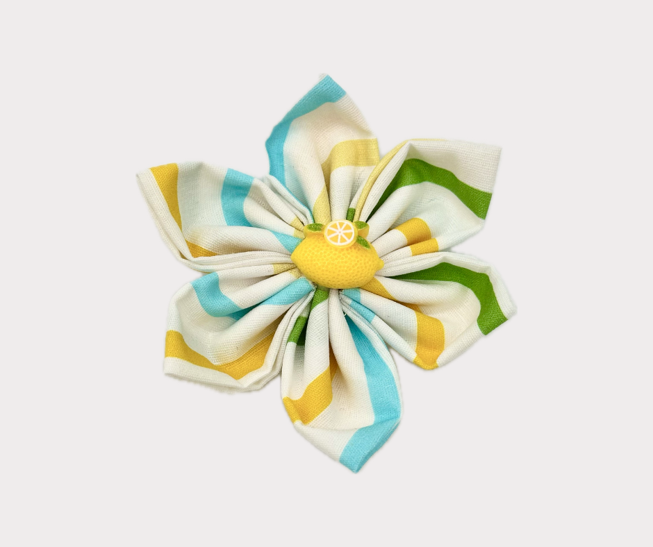 Collar Flowers - Lemon Drop