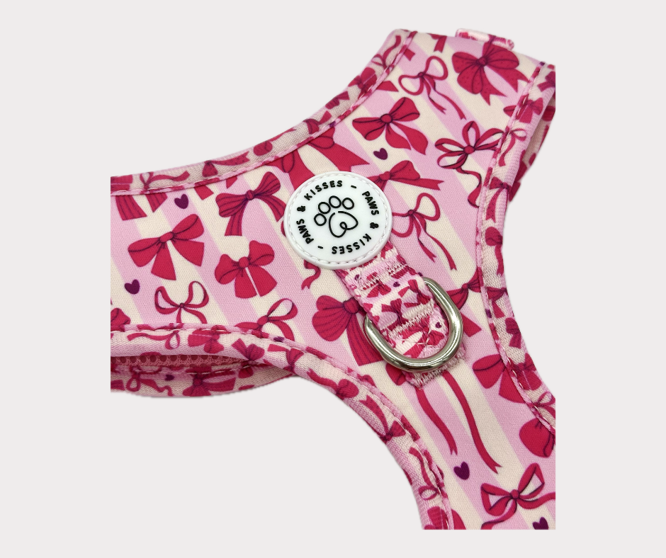 Adjustable No Pull Harness - Diva