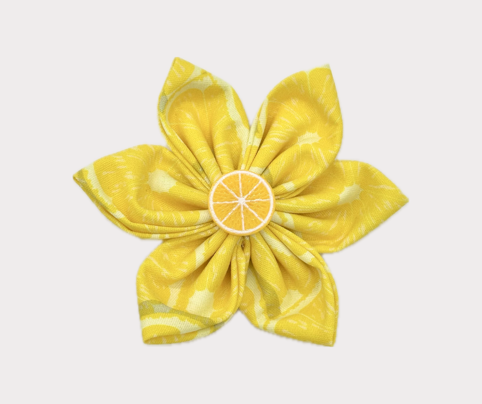 Collar Flowers - Lemon Drop