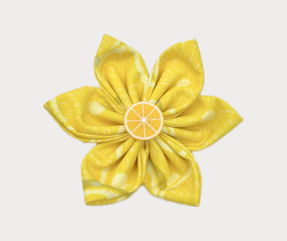 Collar Flowers - Lemon Drop