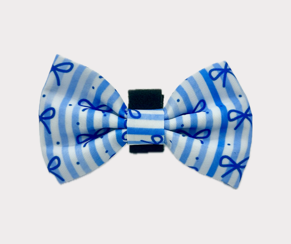 Bow - Dream
