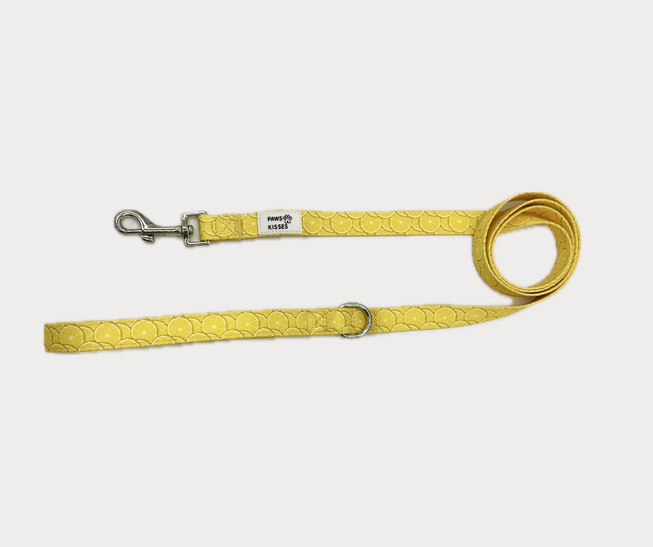 Leash - Lemon Drop
