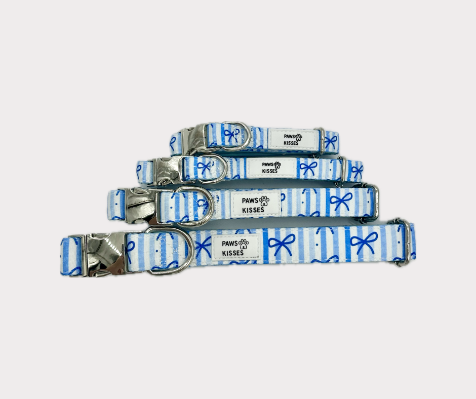 Adjustable Collar - Dream