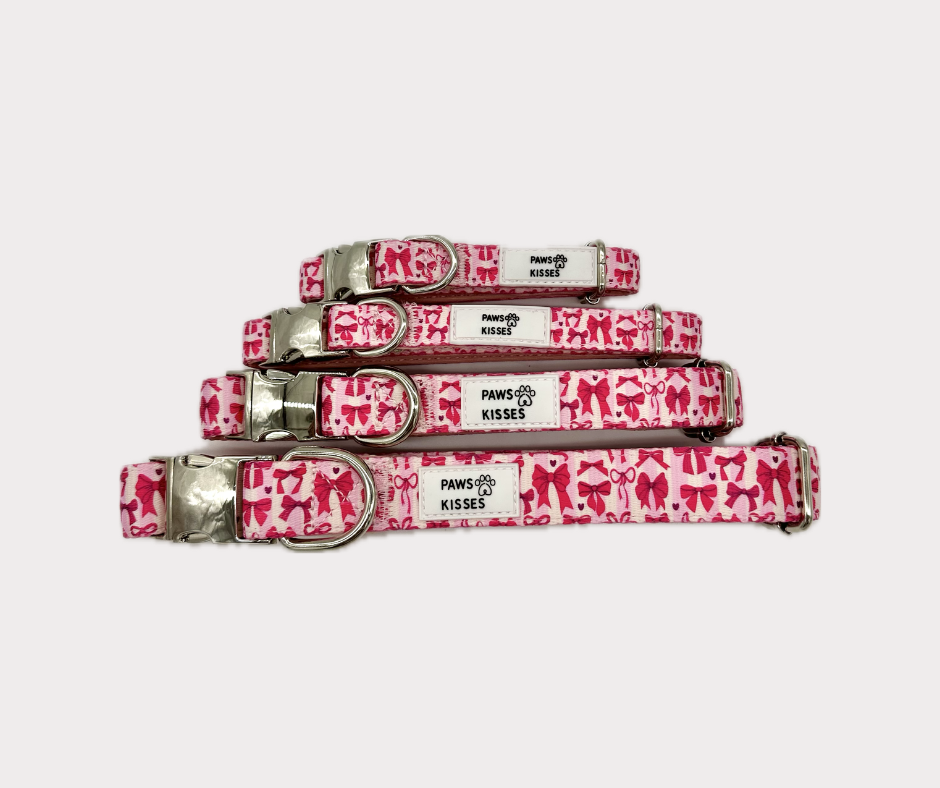 Adjustable Collar - Diva