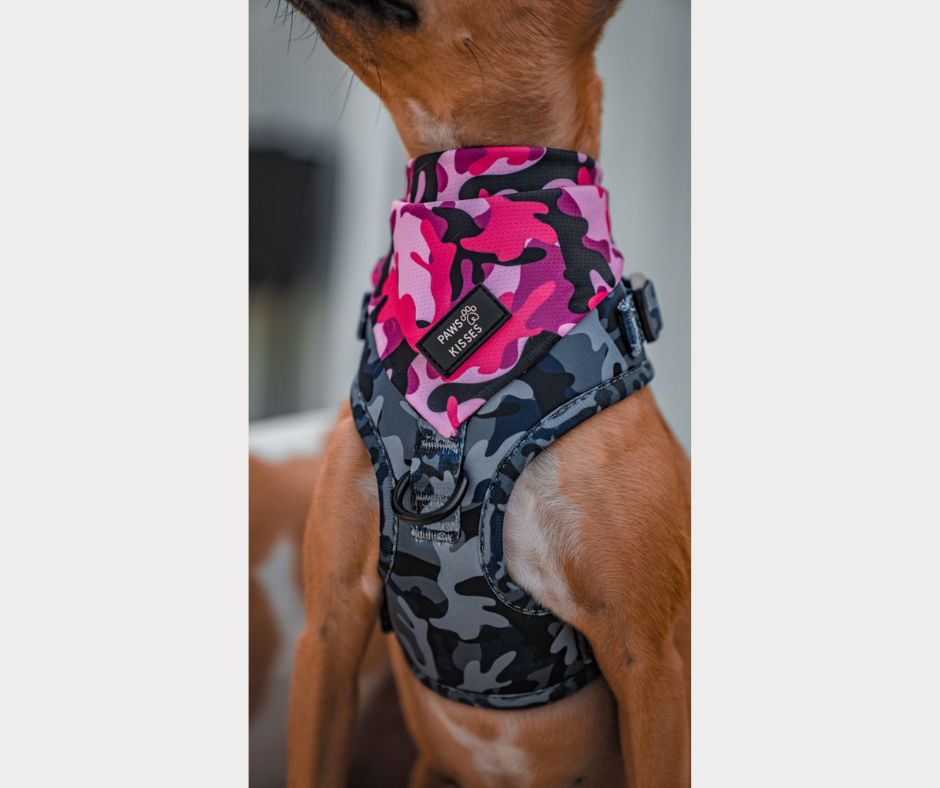 Cooling Bandana - Lady Bark Ops