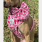 Sailor Bow - Diva