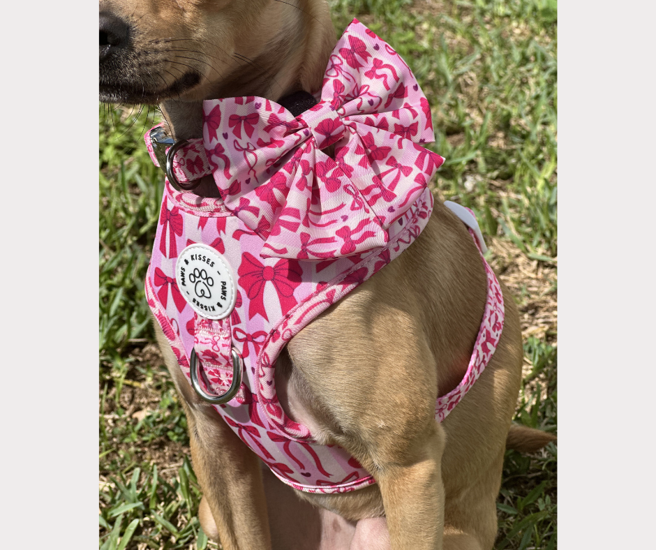 Sailor Bow - Diva
