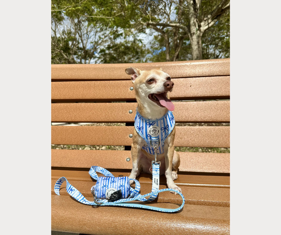 Adjustable No Pull Harness - Dream