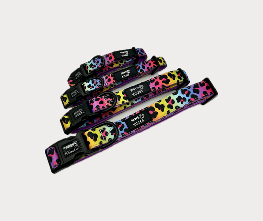 Wild One - Adjustable Collar