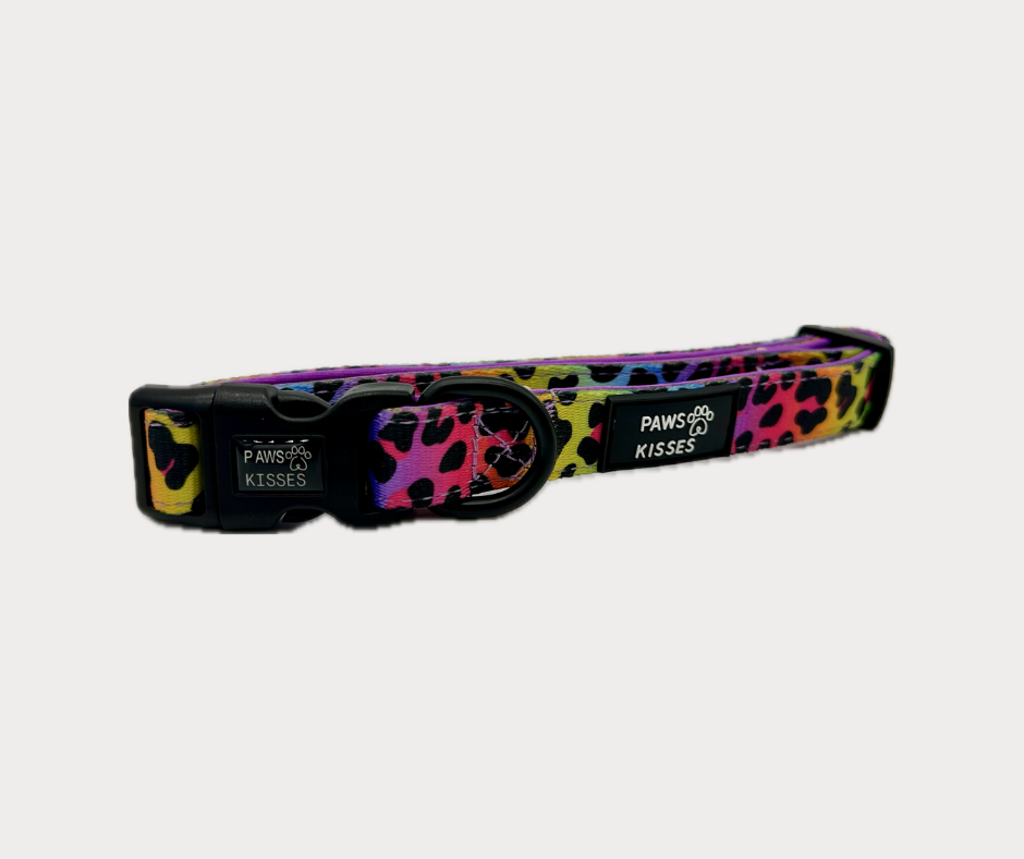 Wild One - Adjustable Collar